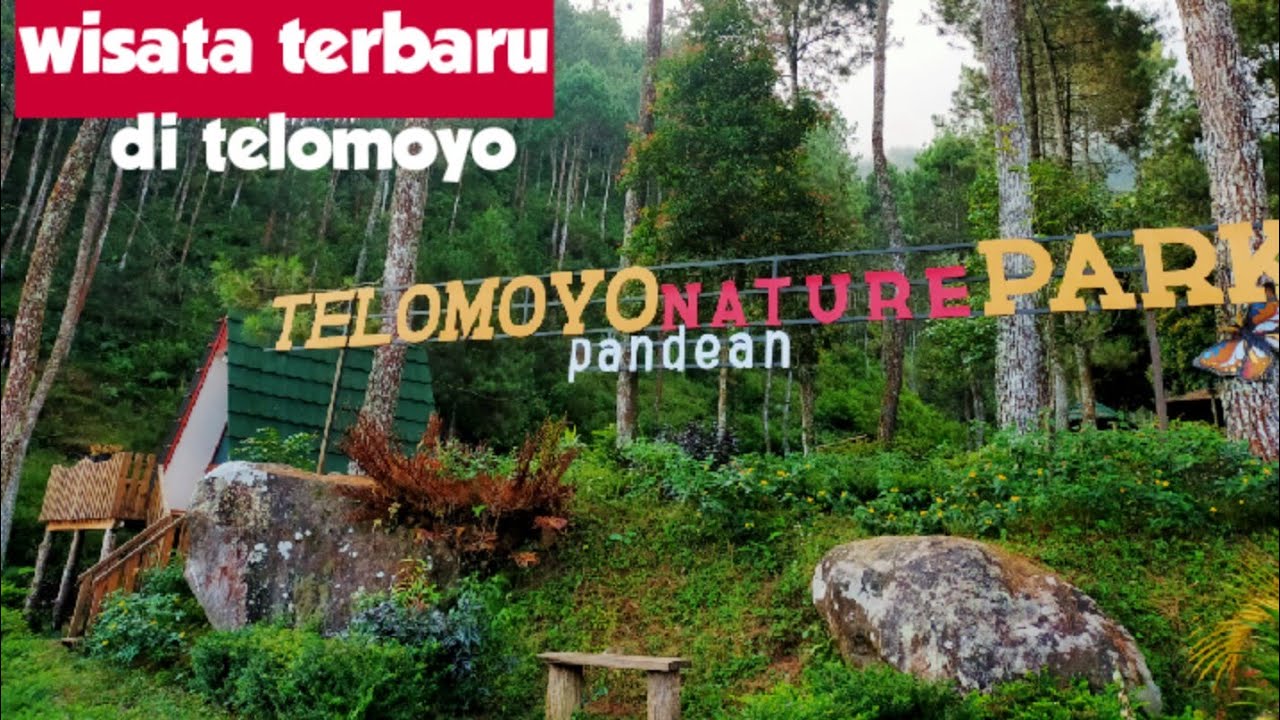 Jelajahi Surga Alam Telomoyo Nature Park